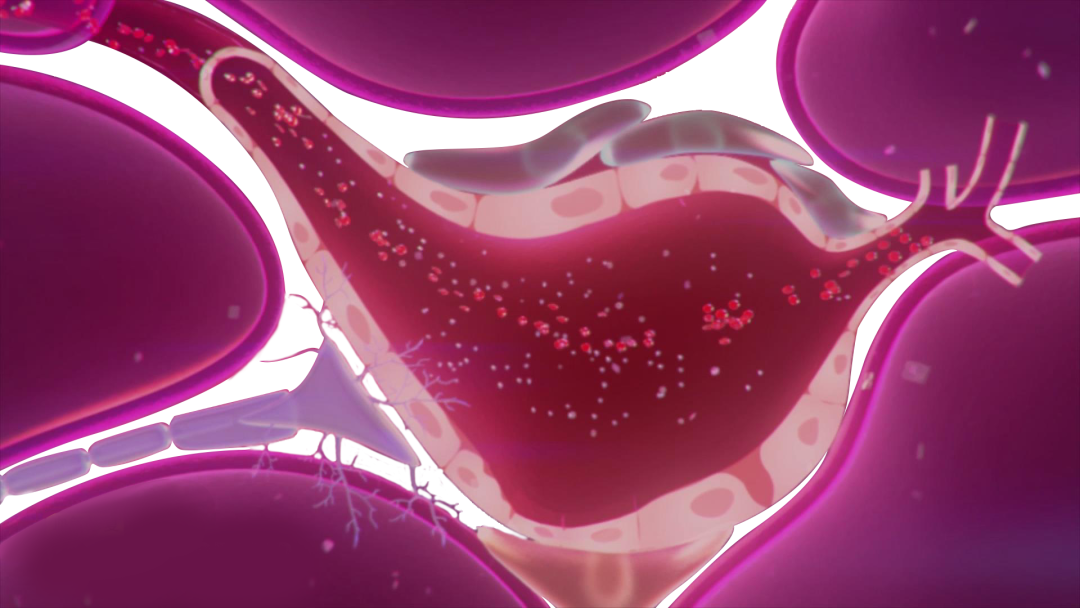 1761804248177450.png 64022.png